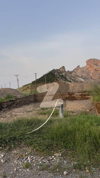 فیصل