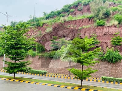 Parkview