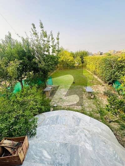 آئی