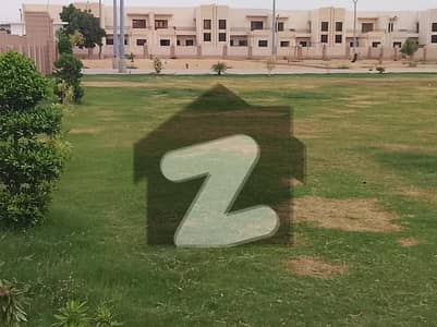 صائمہ