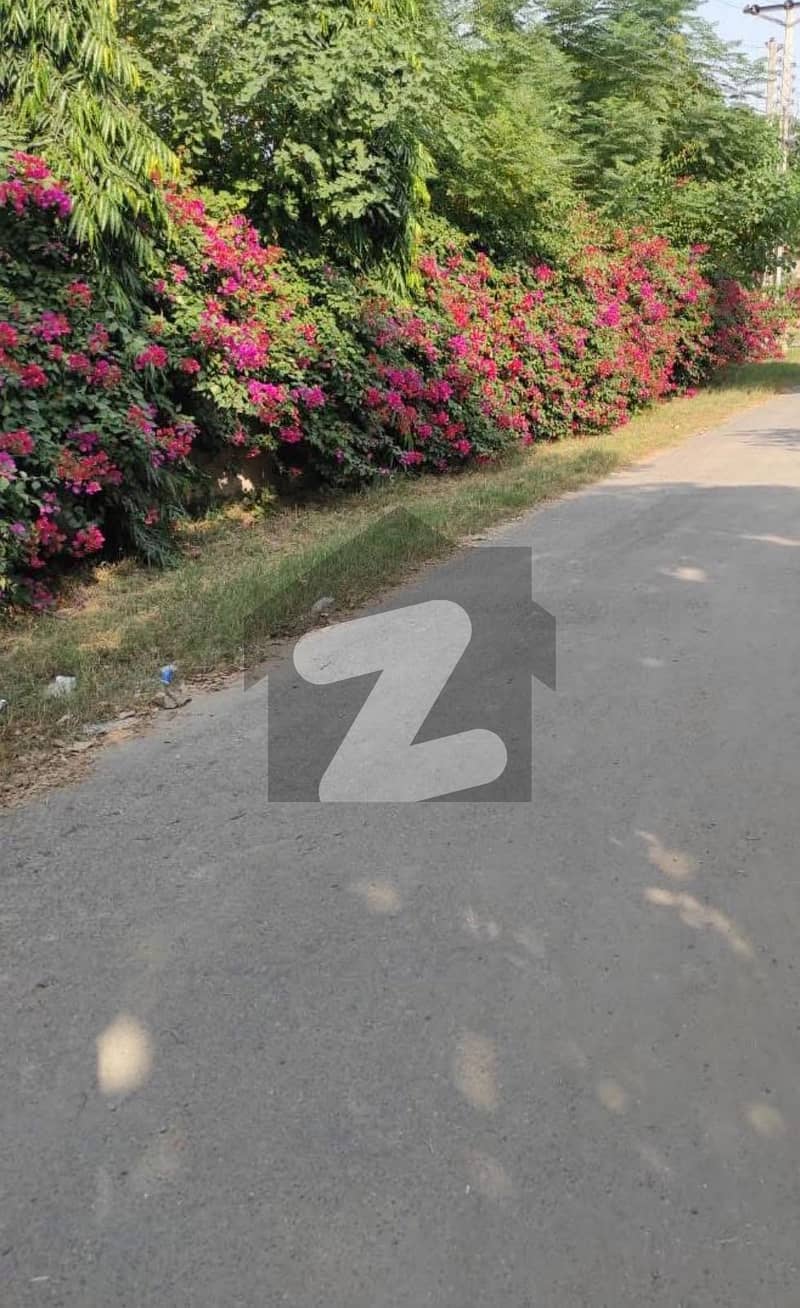 ایگزیکٹو ٹاؤن چکوال میں 10 مرلہ رہائشی پلاٹ 44.0 لاکھ میں برائے فروخت۔