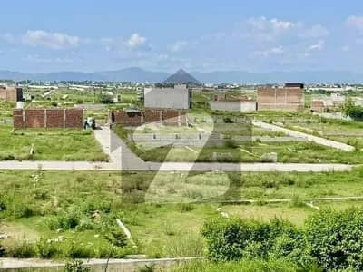 زمر