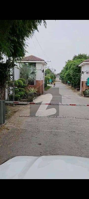 4 Kanal Plot for Sale in Sofia Farmhouse Prime Location Gated Society on Bedian Road