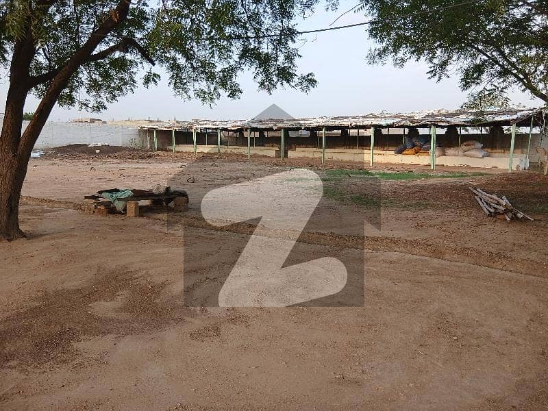 CATTLE FARM Available For Rent