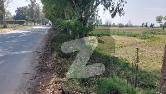 بیدیاں