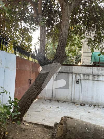کے ڈی اے اسکیم 1 ایکسٹینشن کراچی میں 3 کمروں کا 1 کنال مکان 22.5 کروڑ میں برائے فروخت۔