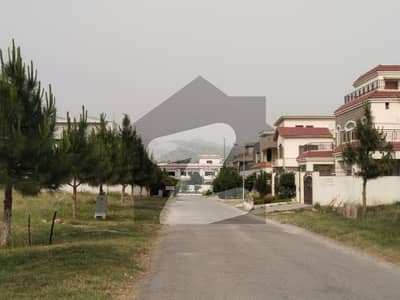 ایم