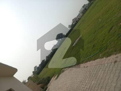 ڈی