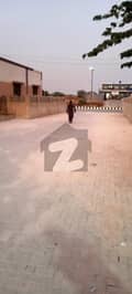 24 