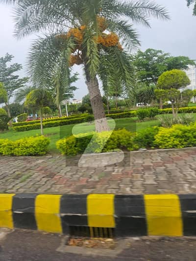 Farm