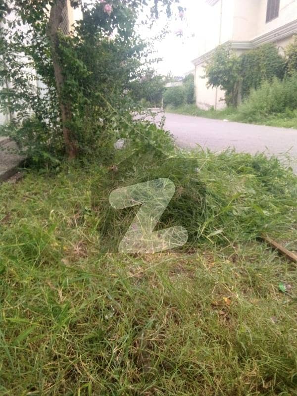 5 Marla Plot Haji Shah Road