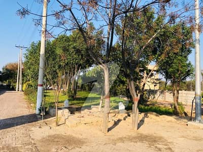 آئی