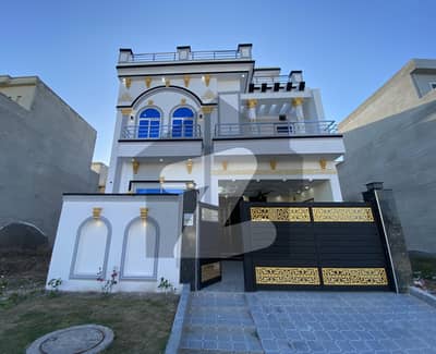 سٹی