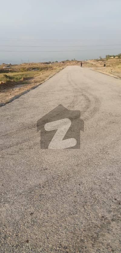 25x60