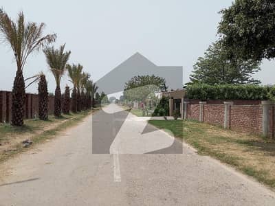 بیدیاں