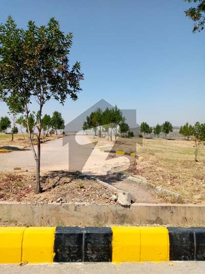 ڈی