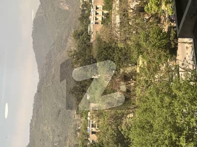 ڈی