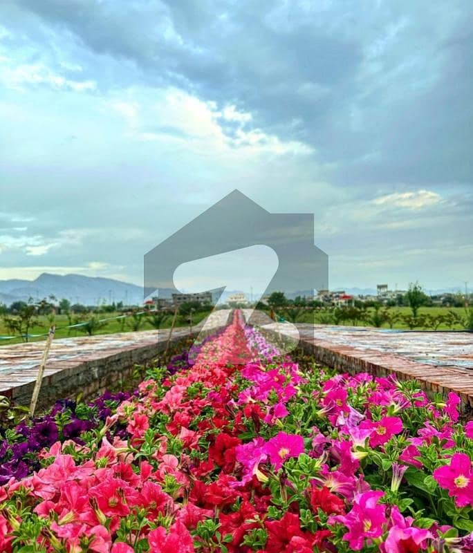 NORTH Facing 40 Feet Road Near To Masjid Sector C Ideal Location For Construction NORTH Facing 40 Feet Road Near To Masjid Sector C Ideal Location For Construction