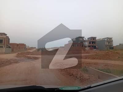 جناح
