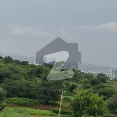 گلبرگ