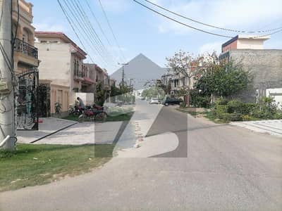 فارمینیٹی