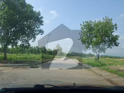 ڈی