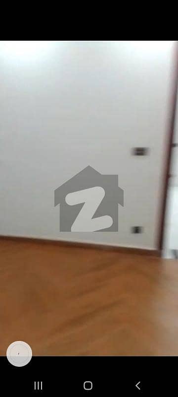 جناح