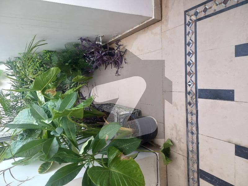 G 11/2 Ground Floor 25x50