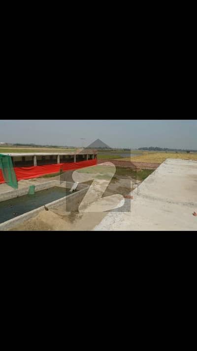 بیدیاں روڈ لاہور میں 1 کمرے کا 4 کنال فارم ہاؤس 3.0 کروڑ میں برائے فروخت۔