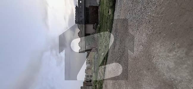 کوری