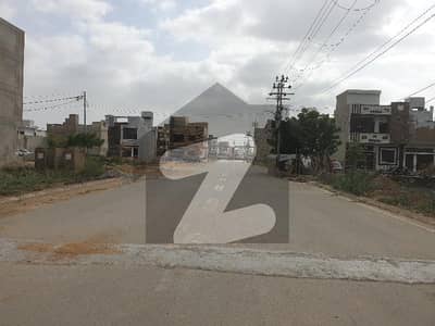 سیکٹر