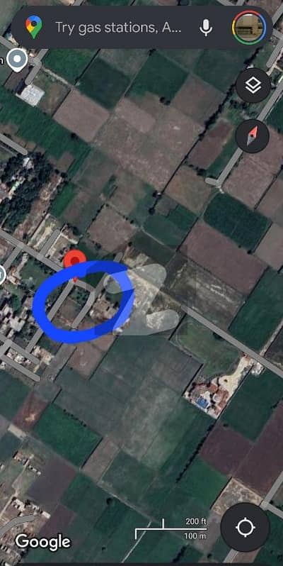 بیدیاں