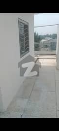 11 11