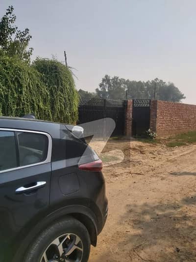 بیدیاں