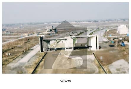 Sector