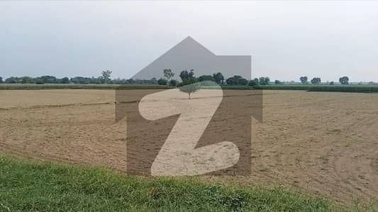 واپڈا ٹاؤن قصور قصور میں 208 کنال زرعی زمین 11.7 کروڑ میں برائے فروخت۔