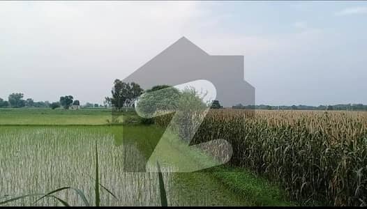 بیدیاں