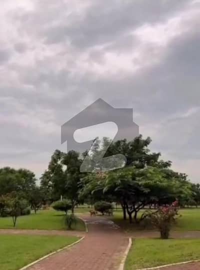 بی