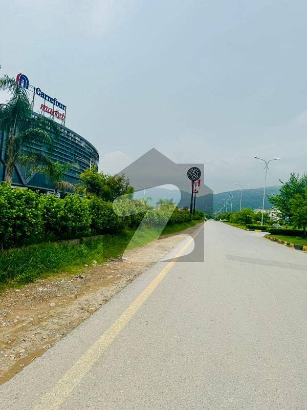 Top Location Sun Face Plot Is For Sale