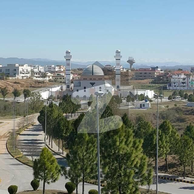 beautiful 5merla house for rent