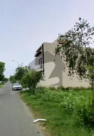 ڈی