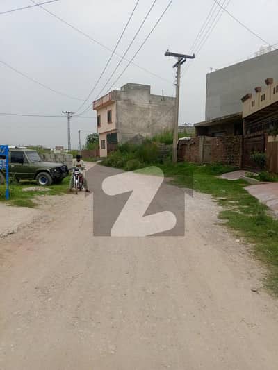 کورل