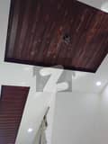 20 