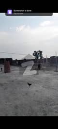 20 