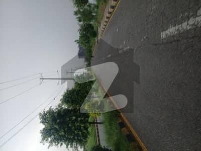 University