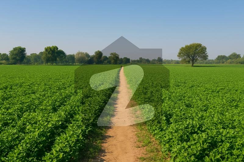 4 KANAL LAND FOR SALE ON BEDIAN ROAD 4 KANAL LAND FOR SALE ON BEDIAN ROAD