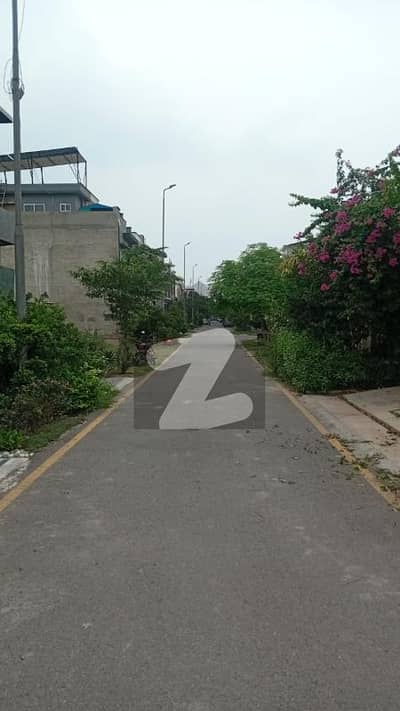 پارک