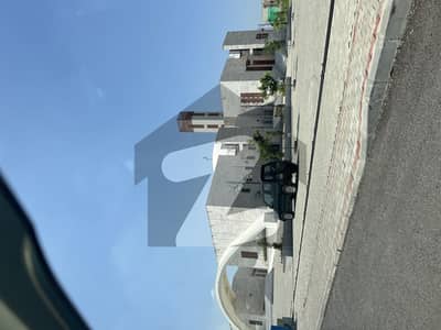 ڈی