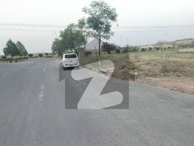 تاج