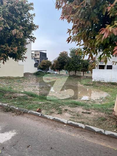 نیو